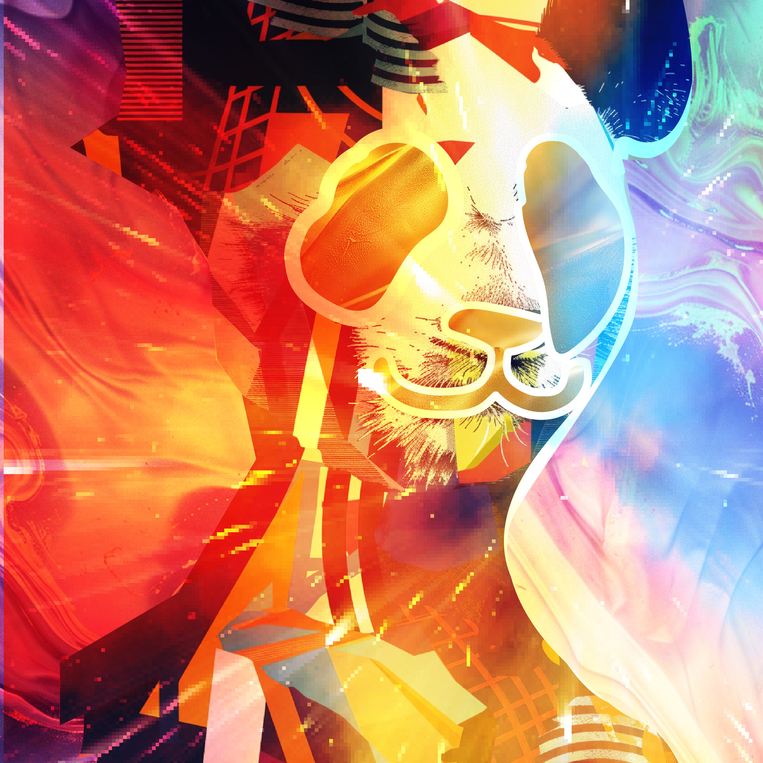 Portfolio image